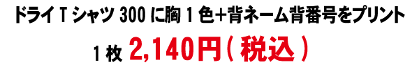 ドライTシャツ3001色番号料金