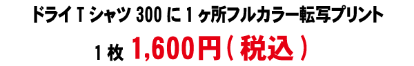 ドライTシャツ300フルカラー料金